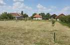 Casă  cu teren de 40 ari în localitatea Gelu - 7