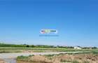 Teren intravilan 16500 mp Balotesti  apropiere Therme si A0 - 3