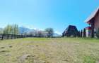 Teren intravilan cu priveliste frumoasa-Predelut - 7