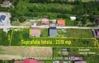 TEREN 2510 MP, PRETABIL DEZVOLTARE REZIDENTIALA - 3