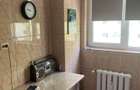 Vanzare 2 camere Pantelimon-Marius - 5