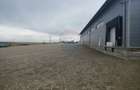Spațiu industrial-depozit de 1120mp de închiriat în Dumbrăveni, SV - 30