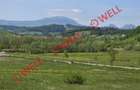 Teren de vânzare în Bărcani, pe strada Bisericii! - 6