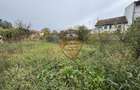 Casă 5 camere, PALAZU MARE,  204 mp cu teren 904 mp - 13