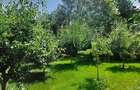 Vila cu 8 Camere Corbeanca | Semineu | Curte 2300mp | Piscina | Sauna - 8