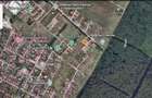 Dumbravita Teren Intravilan 1466mp Front 29m | Langa Padure - 12