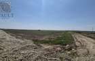 TEREN Intravilan Intre 2 complexe - Utilitati - 9500 MP Berceni/Vidra - 8