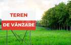 Teren intravilan 2306mp ideal pentru casa/duplex in Sat. Gheorghieni! - 1