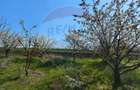 Casa de vanzare cu teren de 2175 mp,anexe si livada generoasa | Mailat - 14