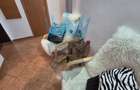 Apartament 2 Camere Libertatii Bucuresti - 18