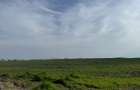 TEREN INTRAVILAN 3700MP METROU BERCENI - 1