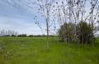 Gruiu,sat Lipia,Ilfov,teren intravilan+intr.arabil, 19,6ml, 84.000Euro - 5