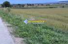 OKAZIE ! 2300 mp. Teren Intravilan Mereteu lat 22 m toate utilitatiile in fata - 8