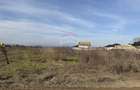 Teren intravilan 7478 mp Bucov, parcelabil, ideal investiție - 3