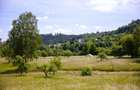 Teren intravilan plat in Bran, 1000 mp, vedere către Bucegi, utilitati - 4