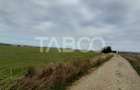 Teren intravilan 2 fronturi de 35 m fiecare 8.000 mp Turnisor Sibiu - 3