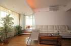 Penthouse 5 camere Gradina Icoanei - 3