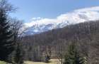 Teren superb extravilan in apropiere de Poiana Brasov - 2