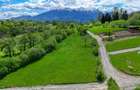 Teren intravilan intre 500 si 1000 mp   in zona Bran - 9