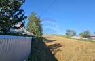 Teren intravilan, 7500 mp in Moara Carp / Strada Eternitatii-Suceava - 3