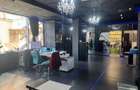 Spatiu comercial de vanzare, S+P+1E, 235 mpu, Ultracentral, Alba Iulia - 5