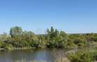 Vila 5 camere Pipera Denya Lake| Faza 1 - 25