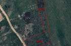 Teren intravilan de vanzare in Sanmartin, zona Beverly Hills, langa padure - 2