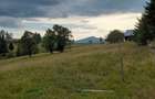 Teren intravilan 25 de arii, Piatra -Fantanele,1200€ pe arie - 4