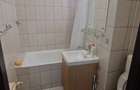 Lacul Tei - Garsoniera spatioasa , ideal investitie, bloc mixt - 13