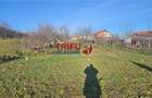 Oportunitate de Investiție: Teren Intravilan în Paclisa, Alba Iulia - 9