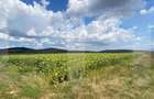 De vânzare teren arabil – 4,58 ha, Moacșa, Covasna - 3