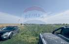 Teren agricol 16.750mp în Cârcea, imprejmuit, cultura capsuni, solarii - 12