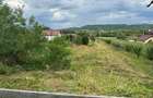 Teren intravilan în zona linistita - 2