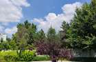 Brâncoveanu | Apartament 3 Camere | Decomandat | lângă Parc | parcare - 14
