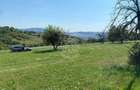 Teren 11.000 mp-ideal cabana/ferma-Unirea-Valea Slatinitei - 4