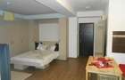 Inchiriere garsoniera lux Stefan cel Mare, Bucuresti - 8