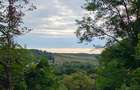 Teren cu priveliste spre vale, la padure, zona linistita, la 1h30 de Bucuresti - 4