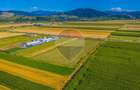 COMISION 0% | Teren intravilan 7.500 mp | Tarlungeni, Brasov - 6
