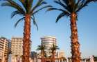 Studio Lux prima linie la mare in White Tower Mamaia - 13