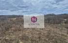 Vand 2 parcele de 5700 mp zona Iabalcea