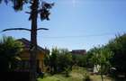 Teren stradal cu casa veche in Podari - toate utilitatile - 4