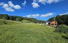 Teren intravilan Traisteni, Valea Doftanei – 2.290 mp, deschidere mare, padure - 2