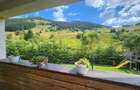 Casă de vacanță în Bucovina | Șaru Dornei | 10 camere c - 7