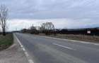 Teren 50000mp Extravilan-Intrare Halchiu-Cod 5235 - 3