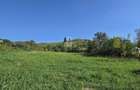 Casa de vanzare, Laslea, Judet Mures - 2