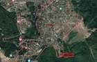 OPORTUNITATE: 4.400 mp la marginea PADURII, langa VILE NOI, toate UTILITATILE - 8