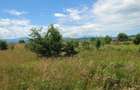 Teren extravilan 1800 mp Avrig - 7