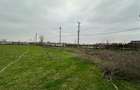 Teren 157.000mp Mogosesti | Giurgiu - 5