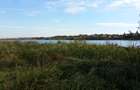 Proprietate frumoasa si rara cu deschidere la lac!La 30 km de Bucuresti - 2