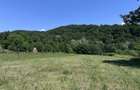 Investiție Turism | Casă | 5164 mp teren | Lac Propriu | Malu cu Flori - 18